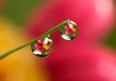 Printable Macros photo